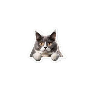 Petpaws American cat shorthair Bubble-free stickers