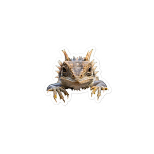 Petpaws Horned Lizard Bubble-free stickers