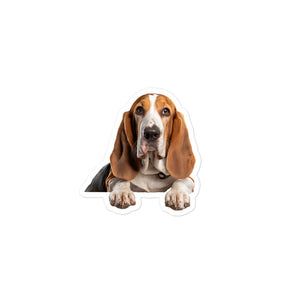 Petpaws Basset Hound dog Bubble-free stickers