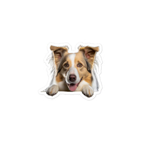 Petpaws Border Collie dog Bubble-free stickers