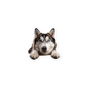 Petpaws Siberian Husky dog Bubble-free stickers