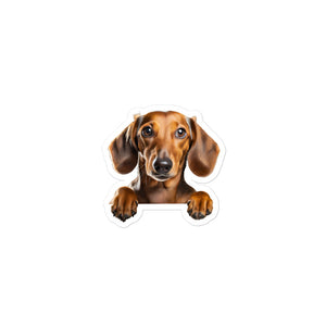 Petpaws Dachshund dog Bubble-free stickers