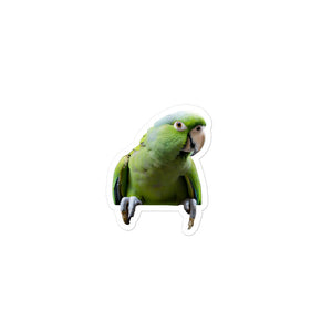 Petpaws Green parrot Bubble-free stickers