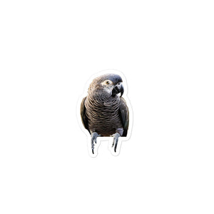 Petpaws Black Grey parrot Bubble-free stickers