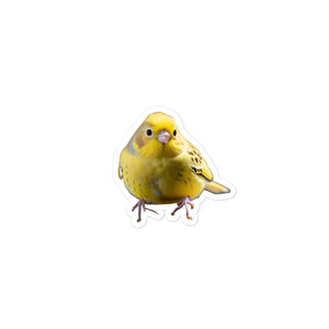 Petpaws Canary bird Bubble-free stickers