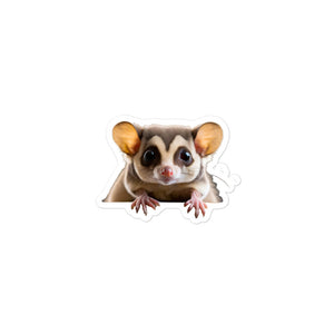 Petpaws Sugar Glider Bubble-free stickers