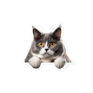 Petpaws American cat shorthair Bubble-free stickers