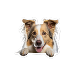 Petpaws Border Collie dog Bubble-free stickers