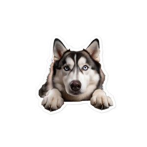 Petpaws Siberian Husky dog Bubble-free stickers