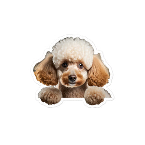 Petpaws Poodle dog Bubble-free stickers