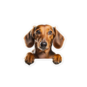 Petpaws Dachshund dog Bubble-free stickers