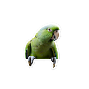 Petpaws Green parrot Bubble-free stickers