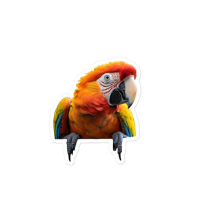 Petpaws Colorful parrot Bubble-free stickers