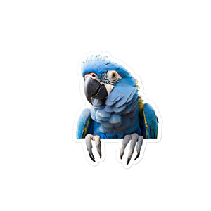 Petpaws Blue parrot Bubble-free stickers