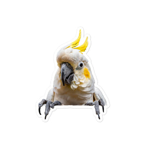 Petpaws Cockatoo bird Bubble-free stickers