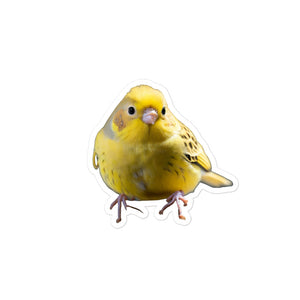 Petpaws Canary bird Bubble-free stickers