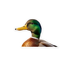 Petpaws Swimming Duck Bubble-free stickers