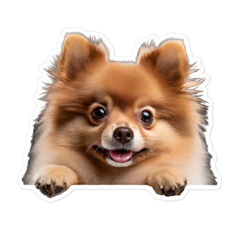 Petpaws Brown Pomeranian dog Bubble-free stickers