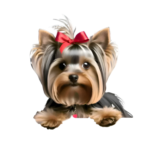 Petpaws Yorkie Bow dog Bubble-free stickers