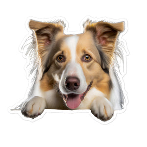 Petpaws Border Collie dog Bubble-free stickers