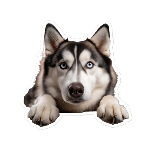 Petpaws Siberian Husky dog Bubble-free stickers