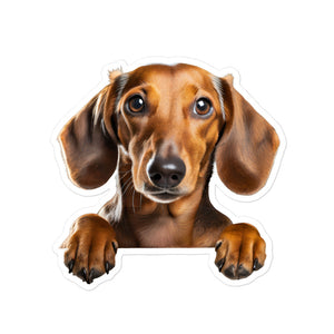 Petpaws Dachshund dog Bubble-free stickers