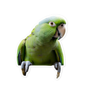 Petpaws Green parrot Bubble-free stickers