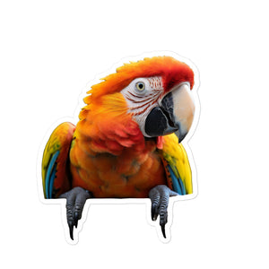 Petpaws Colorful parrot Bubble-free stickers