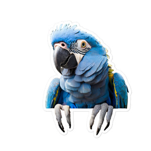 Petpaws Blue parrot Bubble-free stickers