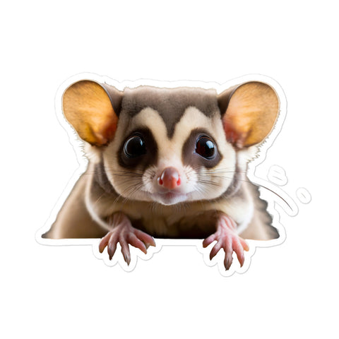 Petpaws Sugar Glider Bubble-free stickers